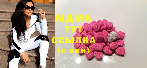 гидра Богородск