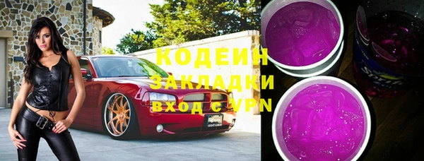 гидра Богородск