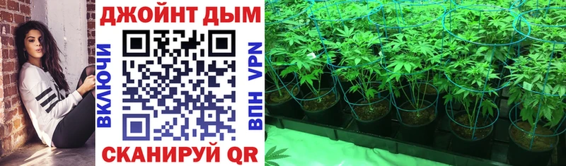 Конопля VHQ  купить  сайты  Ворсма 